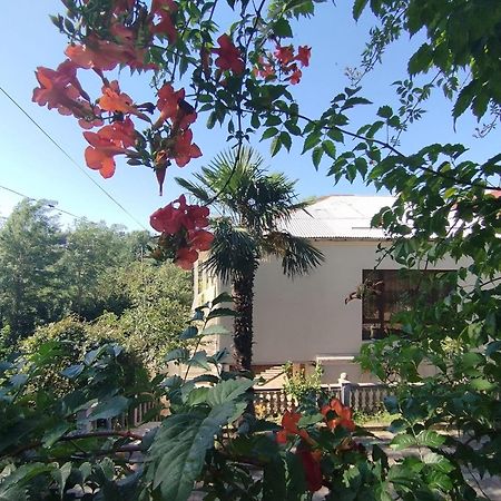 Hostel Kutaisi By Kote Exterior photo