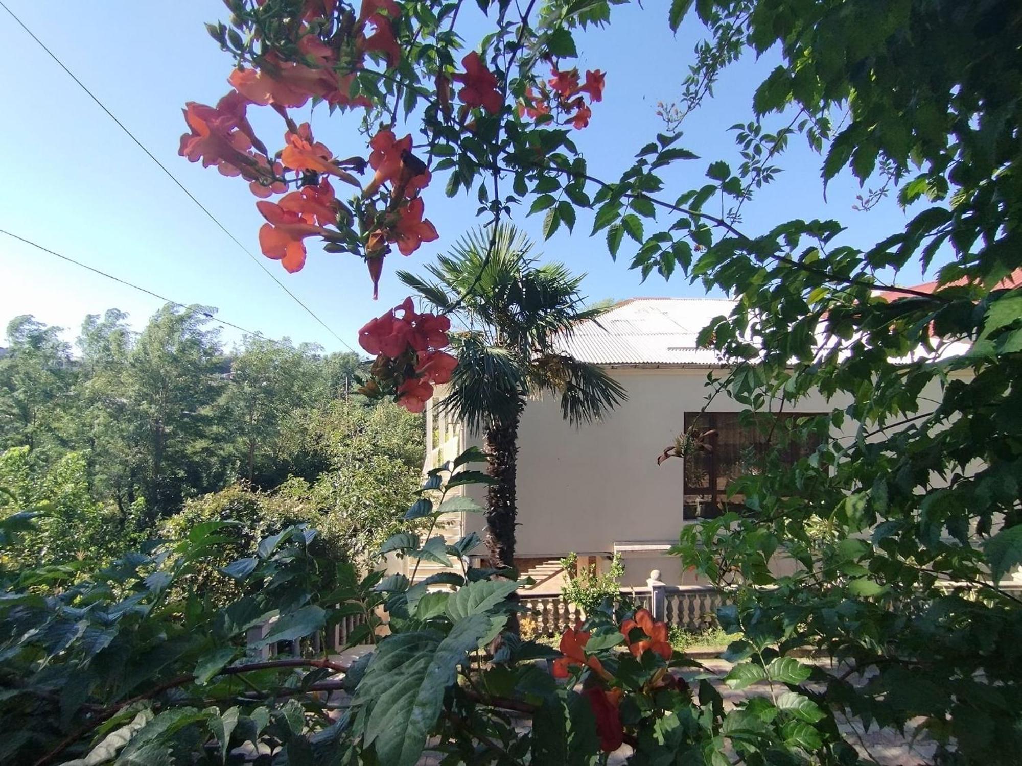 Hostel Kutaisi By Kote Exterior photo