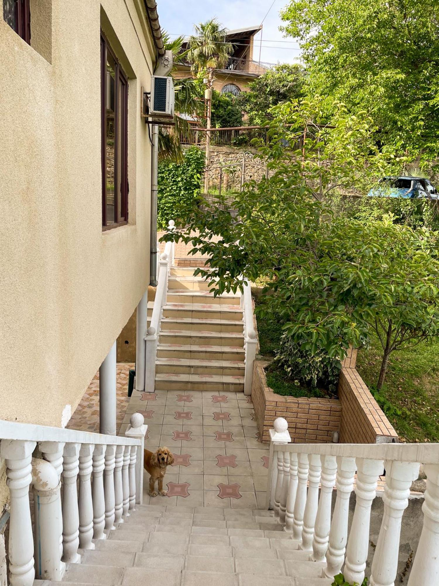 Hostel Kutaisi By Kote Exterior photo